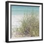 Ocean Air II-Susan Bryant-Framed Photographic Print