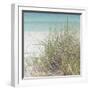 Ocean Air II-Susan Bryant-Framed Photographic Print