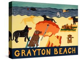 Ocean Ave Grayton Beach-Stephen Huneck-Stretched Canvas