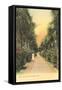 Ocean Avenue, Palm Beach, Florida-null-Framed Stretched Canvas