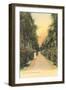 Ocean Avenue, Palm Beach, Florida-null-Framed Art Print