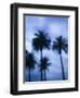 Ocean Avenue, Santa Monica, Los Angeles, California, USA-Walter Bibikow-Framed Photographic Print