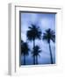 Ocean Avenue, Santa Monica, Los Angeles, California, USA-Walter Bibikow-Framed Photographic Print