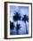 Ocean Avenue, Santa Monica, Los Angeles, California, USA-Walter Bibikow-Framed Photographic Print