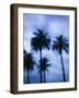 Ocean Avenue, Santa Monica, Los Angeles, California, USA-Walter Bibikow-Framed Photographic Print