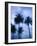 Ocean Avenue, Santa Monica, Los Angeles, California, USA-Walter Bibikow-Framed Photographic Print