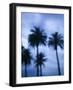 Ocean Avenue, Santa Monica, Los Angeles, California, USA-Walter Bibikow-Framed Photographic Print