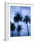 Ocean Avenue, Santa Monica, Los Angeles, California, USA-Walter Bibikow-Framed Photographic Print