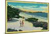 Ocean Beach at Carmel, CA - Carmel, CA-Lantern Press-Mounted Art Print