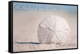 Ocean Beach, California - Sand Dollar on Beach-Lantern Press-Framed Stretched Canvas