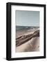 Ocean Beach Driftwood-Incado-Framed Photographic Print