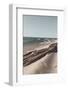 Ocean Beach Driftwood-Incado-Framed Photographic Print