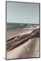 Ocean Beach Driftwood-Incado-Mounted Photographic Print