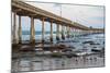 Ocean Beach Pier I-Lee Peterson-Mounted Photo