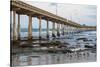 Ocean Beach Pier I-Lee Peterson-Stretched Canvas