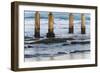 Ocean Beach Pier II-Lee Peterson-Framed Photo