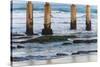 Ocean Beach Pier II-Lee Peterson-Stretched Canvas