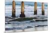 Ocean Beach Pier II-Lee Peterson-Mounted Photographic Print