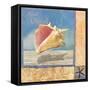 Ocean Beauties II-null-Framed Stretched Canvas