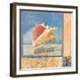 Ocean Beauties II-null-Framed Giclee Print