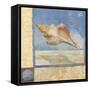 Ocean Beauties III-null-Framed Stretched Canvas