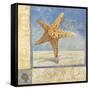 Ocean Beauties IV-null-Framed Stretched Canvas