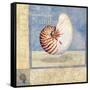 Ocean Beauties V-null-Framed Stretched Canvas