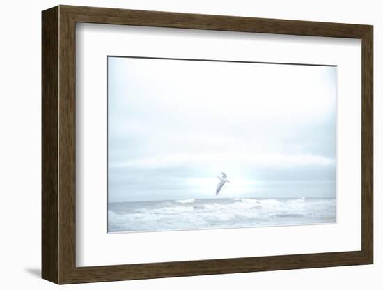 Ocean Bird Takes Flight 2-null-Framed Photographic Print
