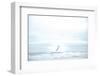 Ocean Bird Takes Flight 2-null-Framed Photographic Print