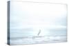 Ocean Bird Takes Flight 2-null-Stretched Canvas