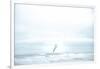 Ocean Bird Takes Flight 2-null-Framed Photographic Print