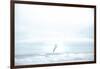 Ocean Bird Takes Flight 2-null-Framed Photographic Print