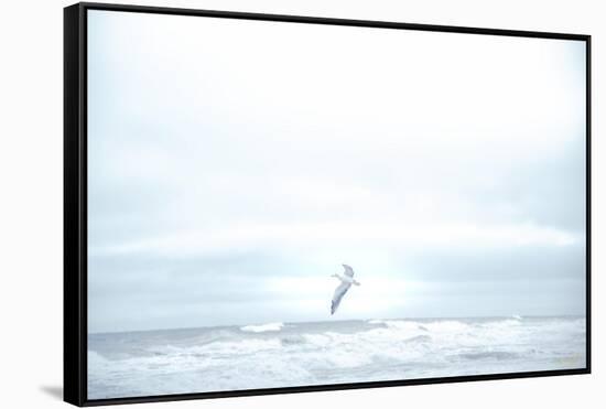 Ocean Bird Takes Flight 2-null-Framed Stretched Canvas