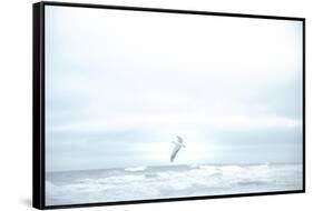 Ocean Bird Takes Flight 2-null-Framed Stretched Canvas