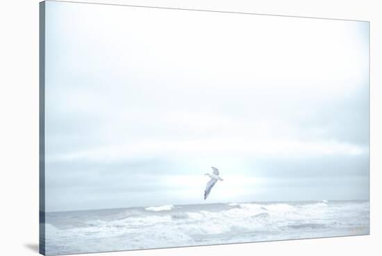 Ocean Bird Takes Flight 2-null-Stretched Canvas