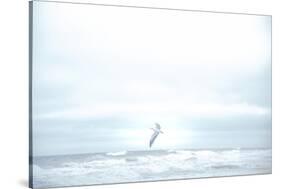 Ocean Bird Takes Flight 2-null-Stretched Canvas