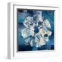 Ocean Bloom I-Studio Mousseau-Framed Art Print