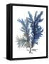 Ocean Bloom I-Stellar Design Studio-Framed Stretched Canvas