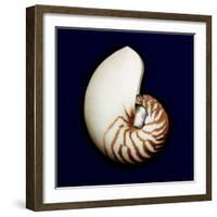 Ocean Blue 5-Julie Greenwood-Framed Art Print