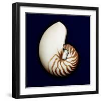 Ocean Blue 5-Julie Greenwood-Framed Art Print