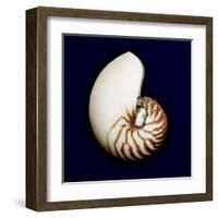 Ocean Blue 5-Julie Greenwood-Framed Art Print