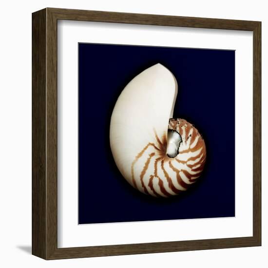 Ocean Blue 5-Julie Greenwood-Framed Art Print