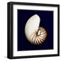 Ocean Blue 5-Julie Greenwood-Framed Art Print