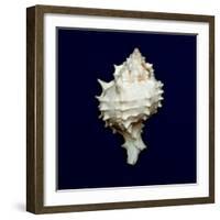 Ocean Blue 6-Julie Greenwood-Framed Art Print