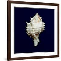 Ocean Blue 6-Julie Greenwood-Framed Art Print