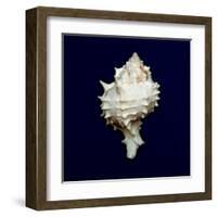 Ocean Blue 6-Julie Greenwood-Framed Art Print