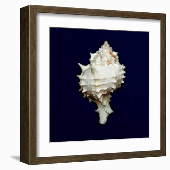 Ocean Blue 6-Julie Greenwood-Framed Art Print