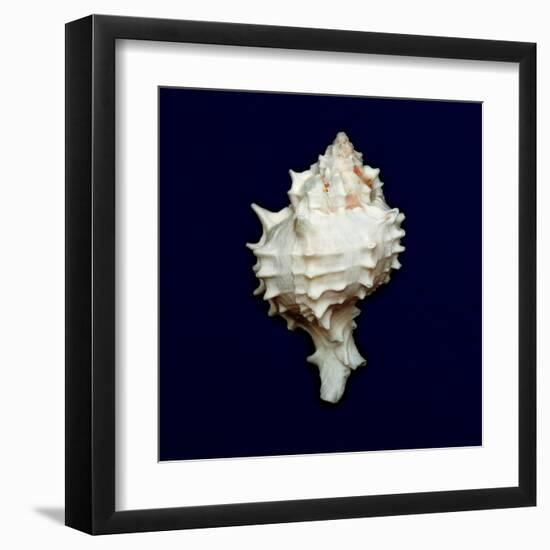 Ocean Blue 6-Julie Greenwood-Framed Art Print