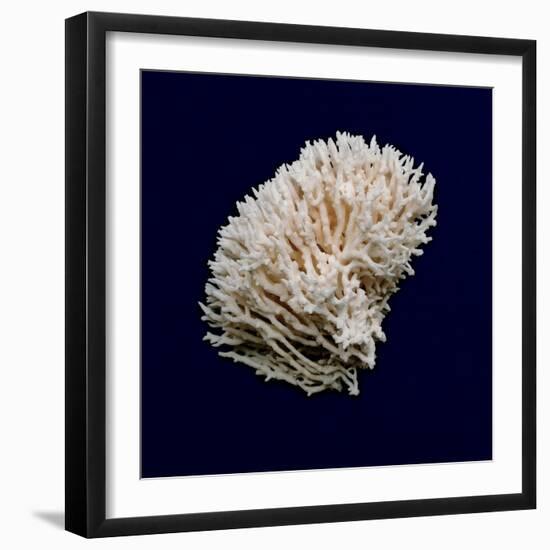 Ocean Blue 8-Julie Greenwood-Framed Premium Giclee Print