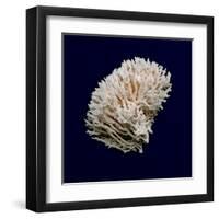 Ocean Blue 8-Julie Greenwood-Framed Art Print